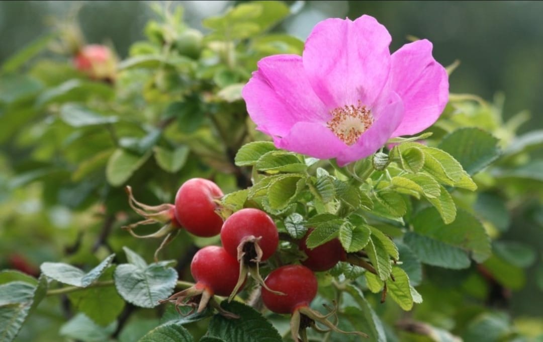 PHOTO-2023-02-23-23-38-51