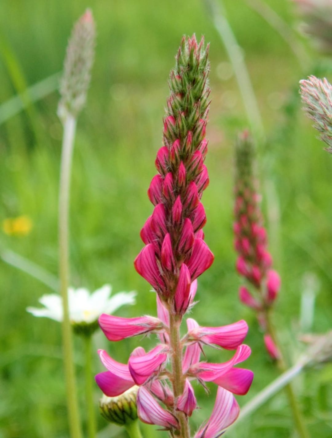 PHOTO-2023-02-23-23-38-53 (3)