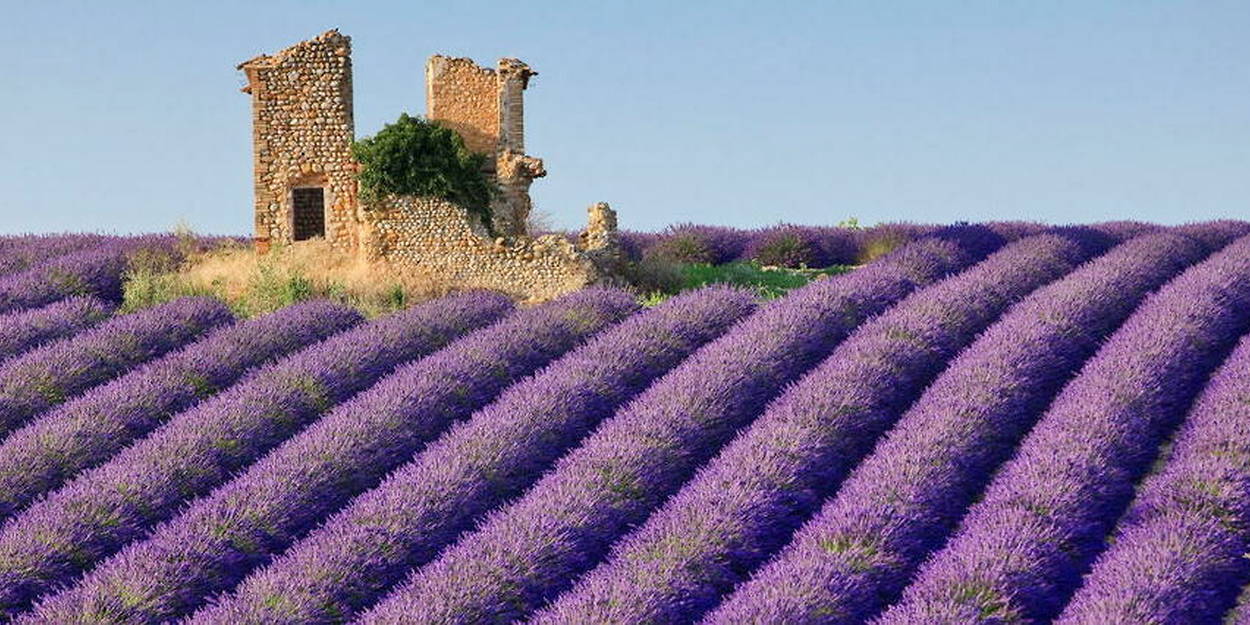 23389892lpw-23389902-article-jpg_8871922_1250x625 (1)